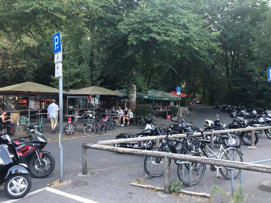 Plane Trees Over Water