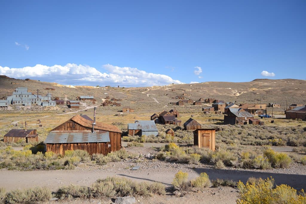 Bodie