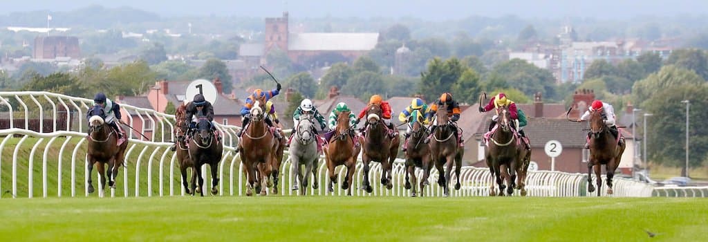 Horses racing to the finish