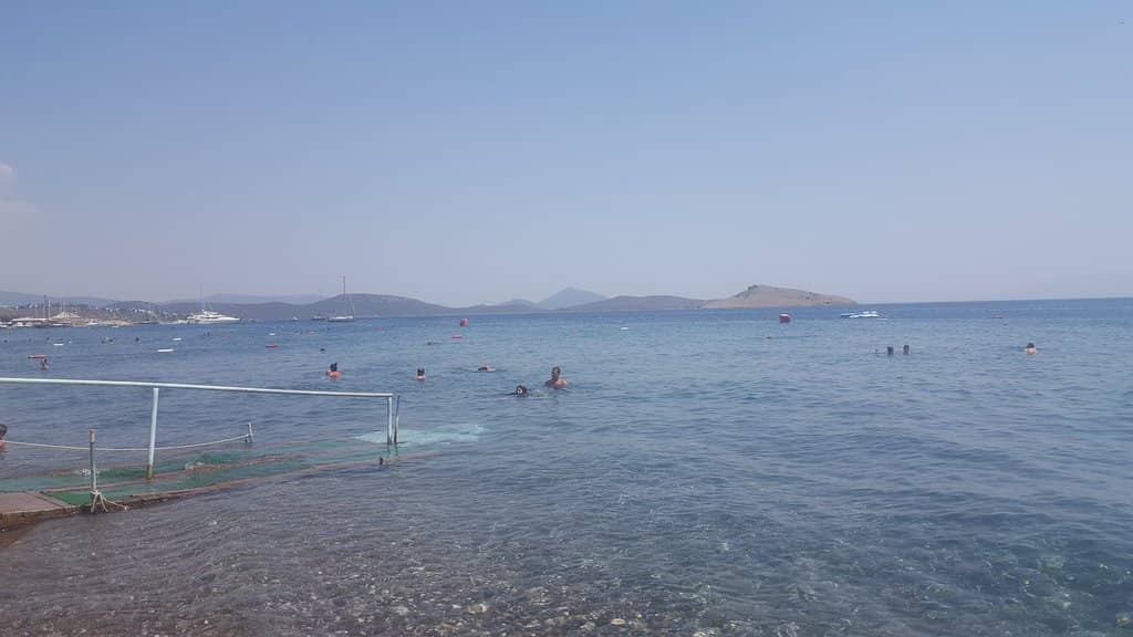 Vibrant Beachfront Dining