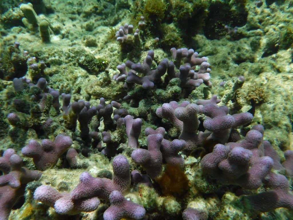 Shipwreck Exploration