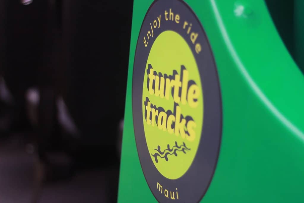 Snorkel Crystal Clear Waters