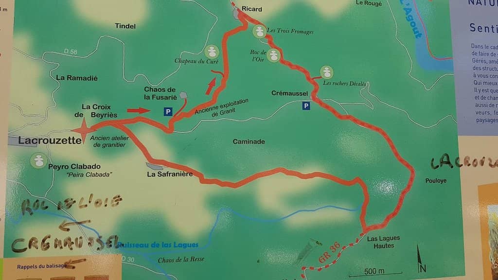 Forest Trails