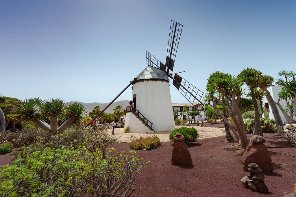 Majorero Cheese Tasting