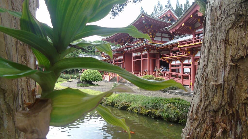 Ágora Ponferrada Cafe