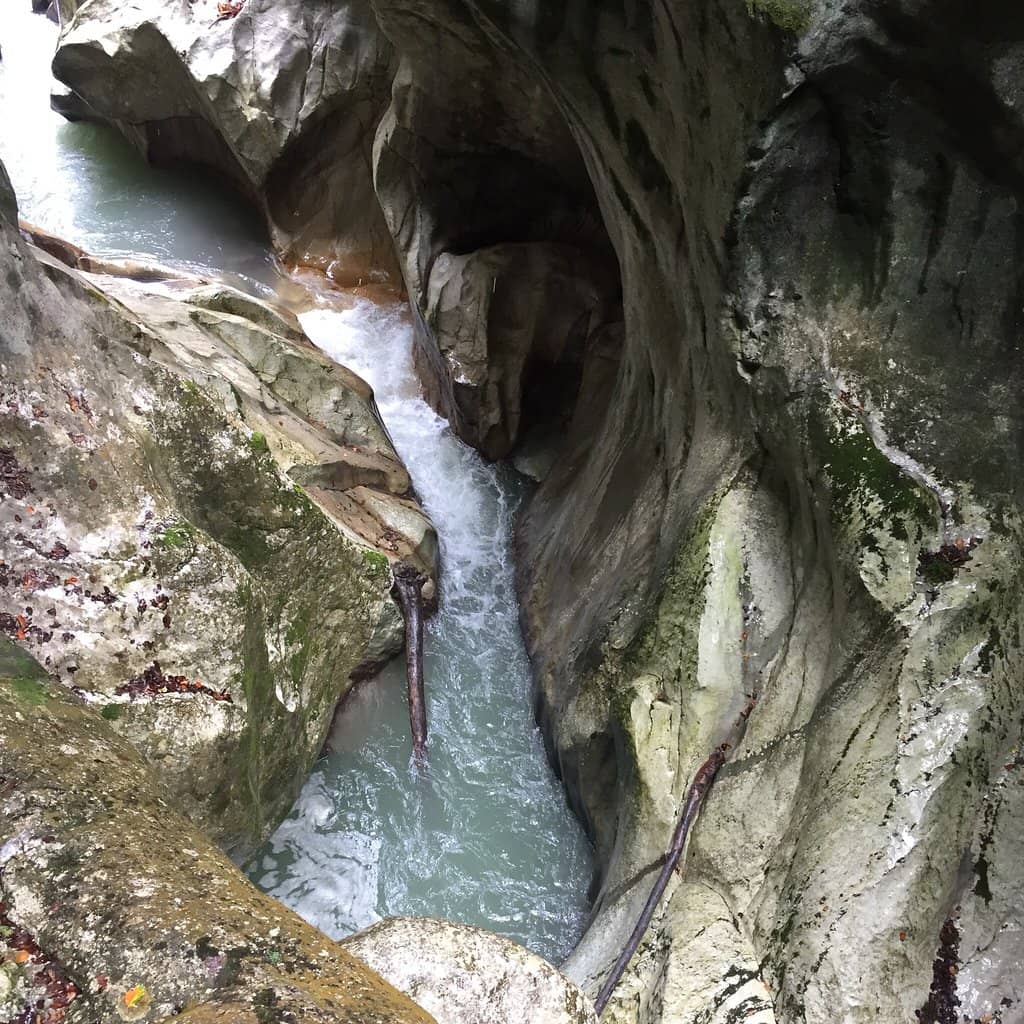 Vertical photo