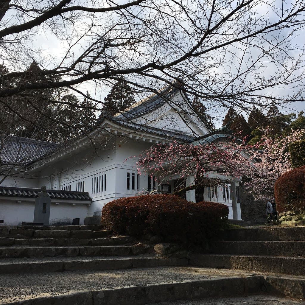 Obi Castle Town