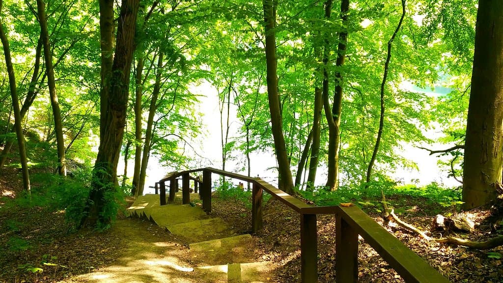 Puszcza Bukowa Landscape Park