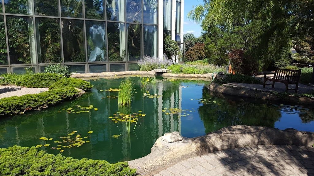 Pond Around Center