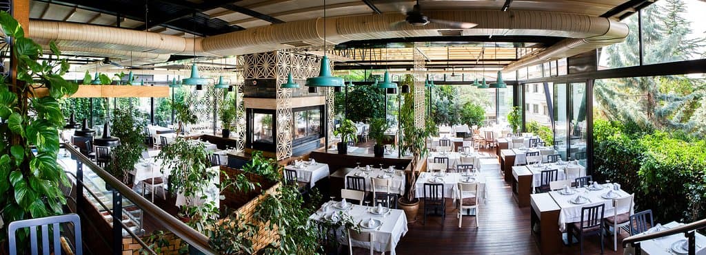 Doğa'nın etkisi Yelken Balık'ta.