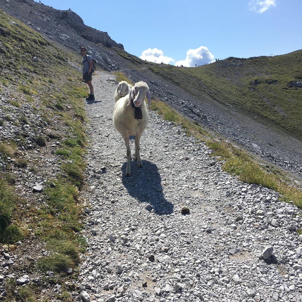 Karwendelbahn Cable Car Ride