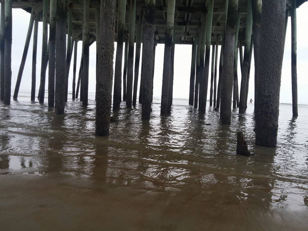 The Promenade & Pavilion