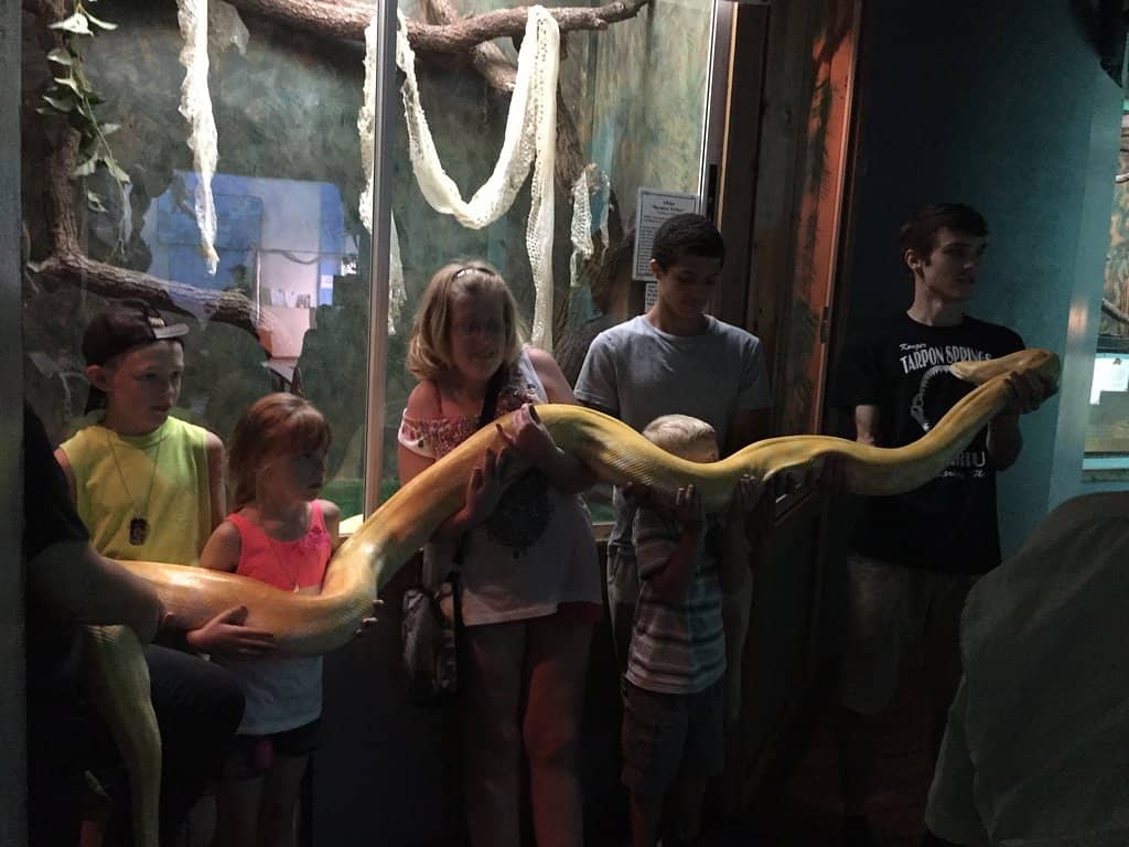 Reptile Encounters