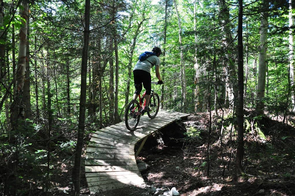 Suspended Bridge Adventure
