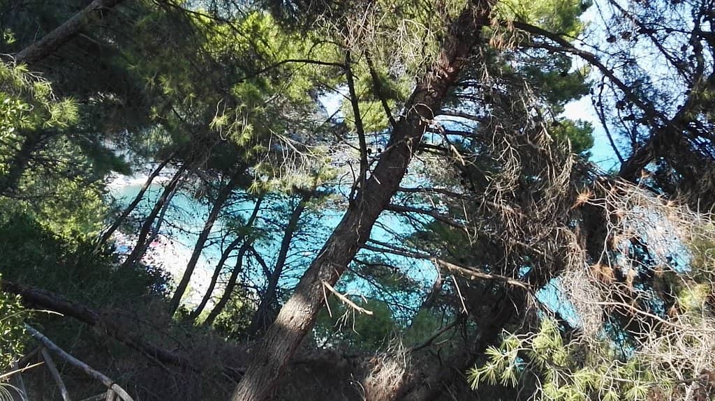 Dramatic Conero Cliffs