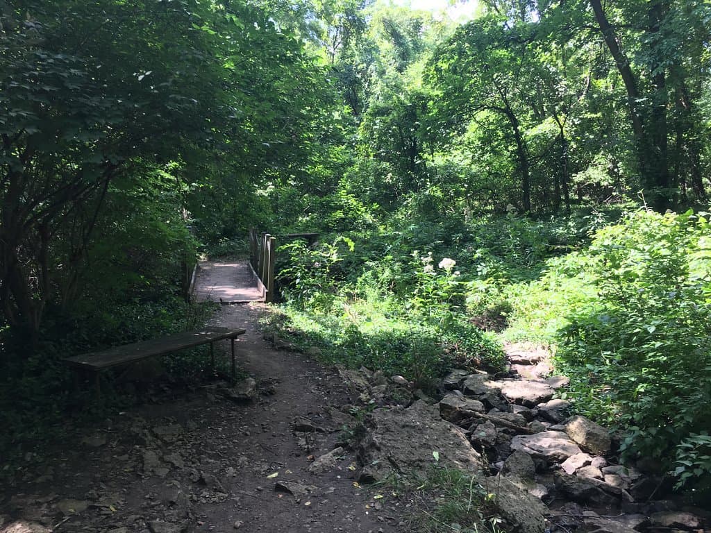 trail and creek