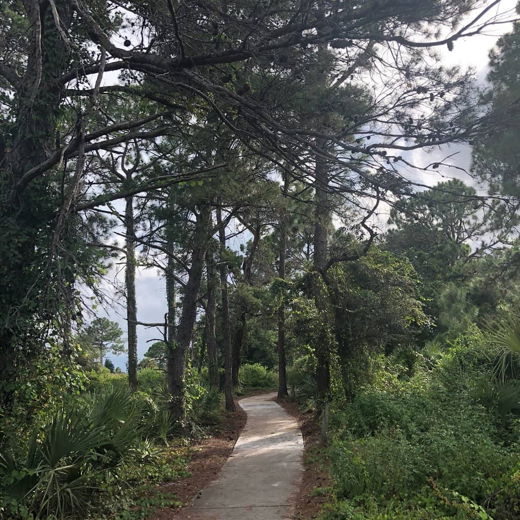 Sandy Trails