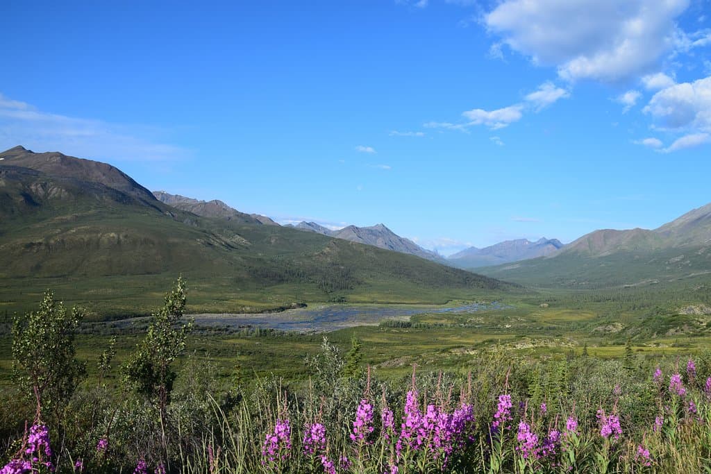 Tombstone Range Viewpoint