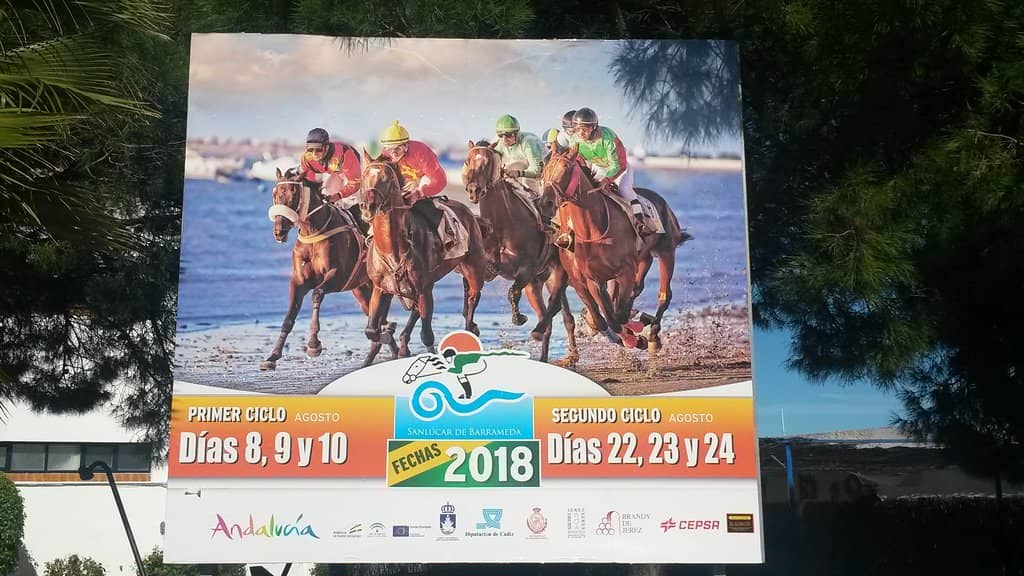 Doñana National Park Ferry