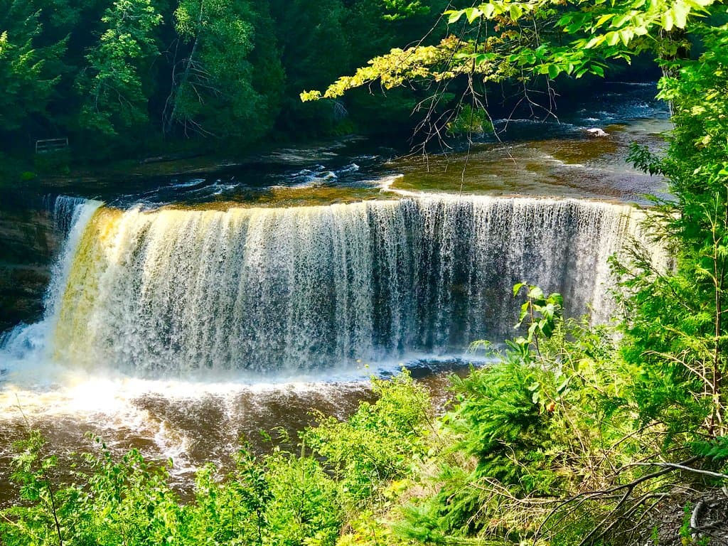 This picture was taken in late August 2018