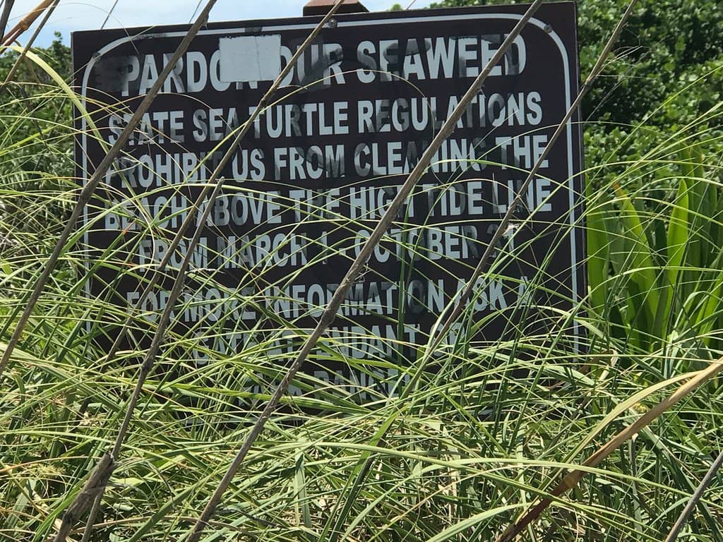 Intracoastal Waterway Views