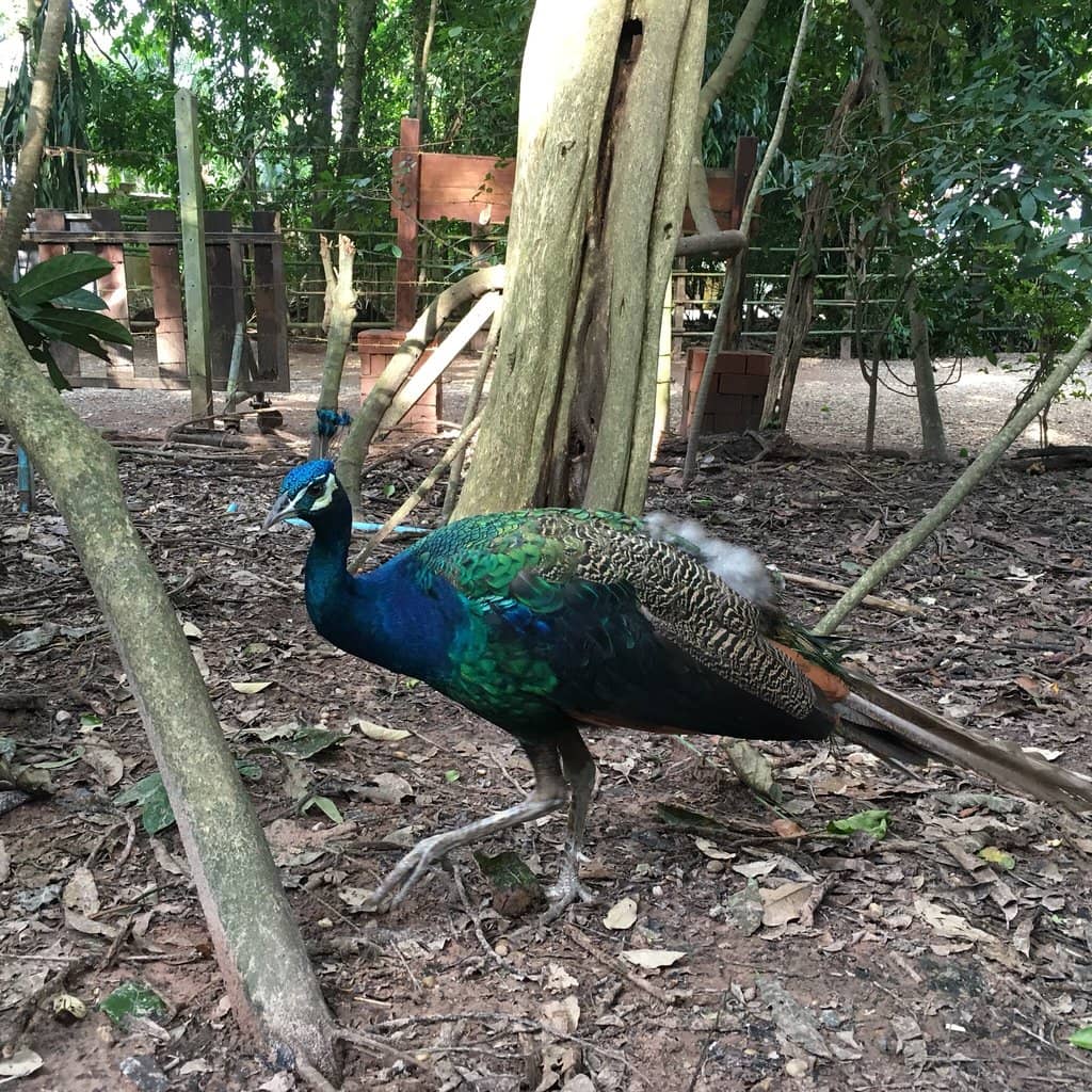 Architectural Marvels