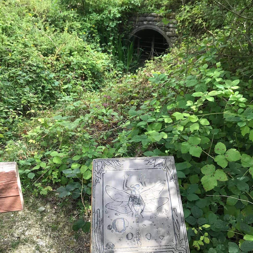 Abandoned Chalk Quarry Landscape