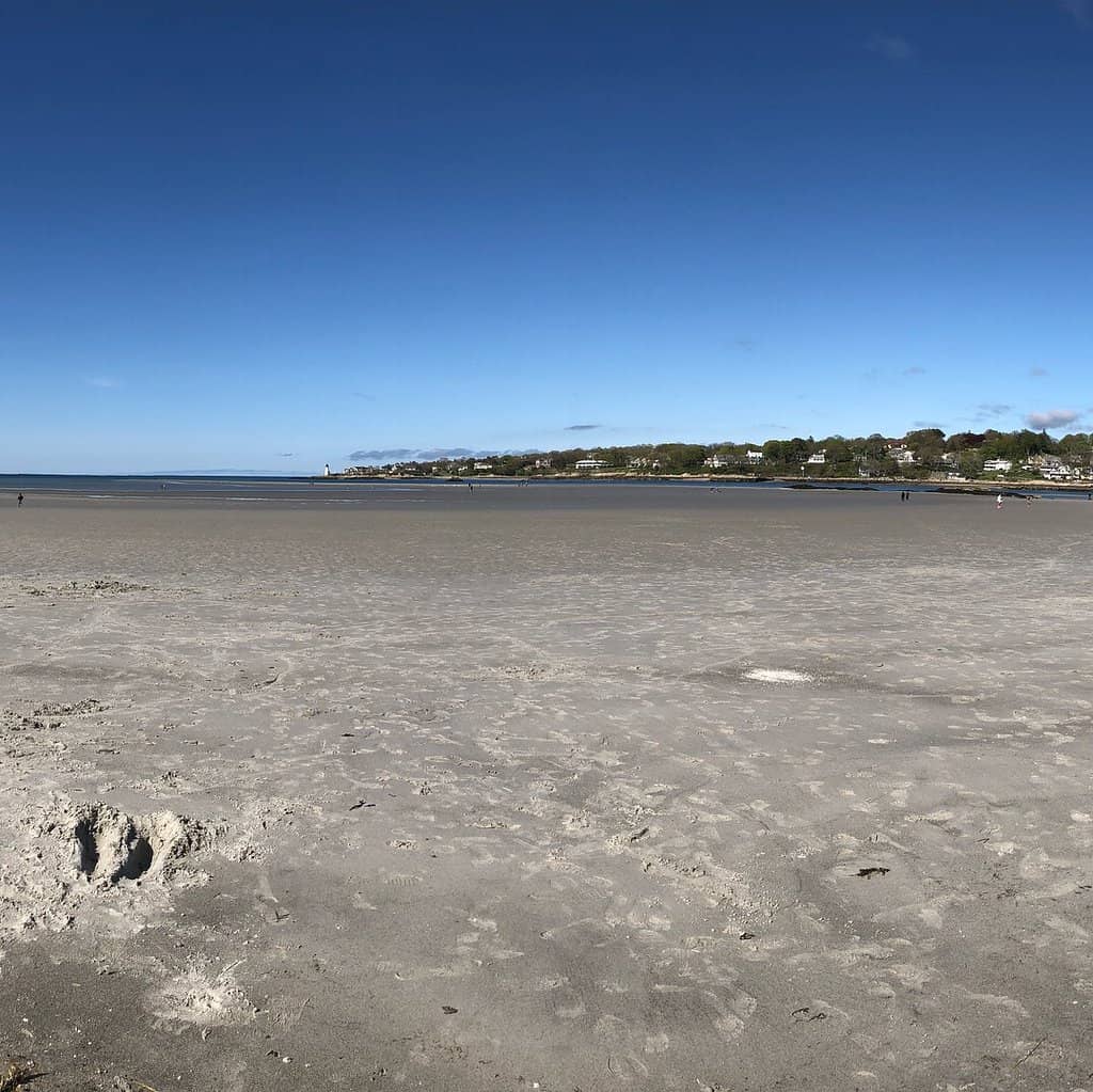 Expansive Sandbars