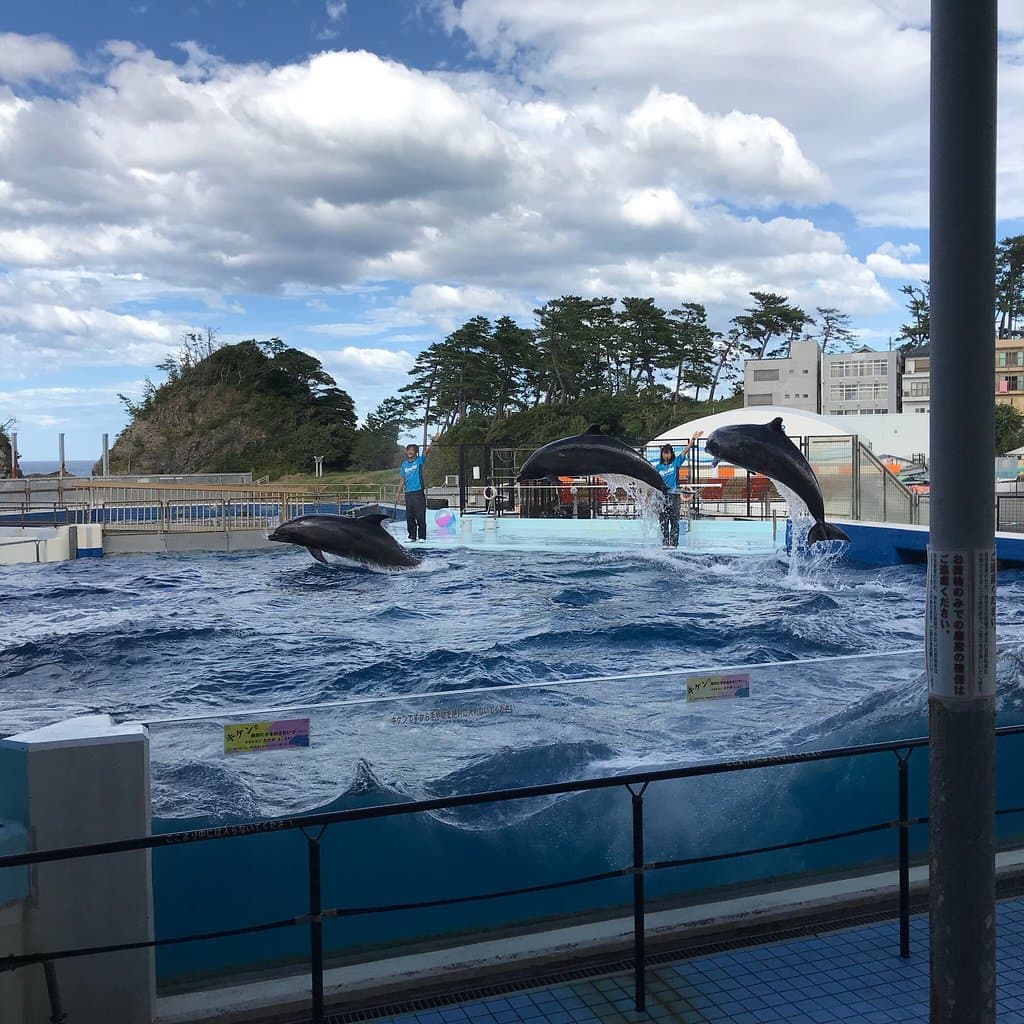 Echizen Matsushima Aquarium