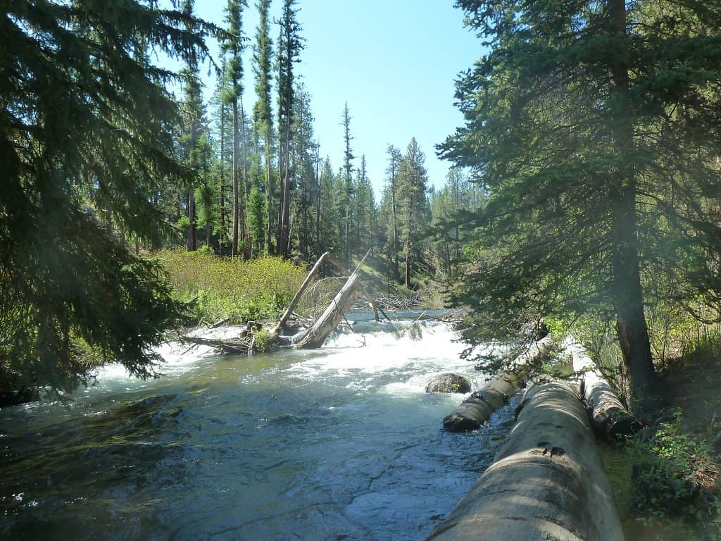 Tumalo Creek Trail