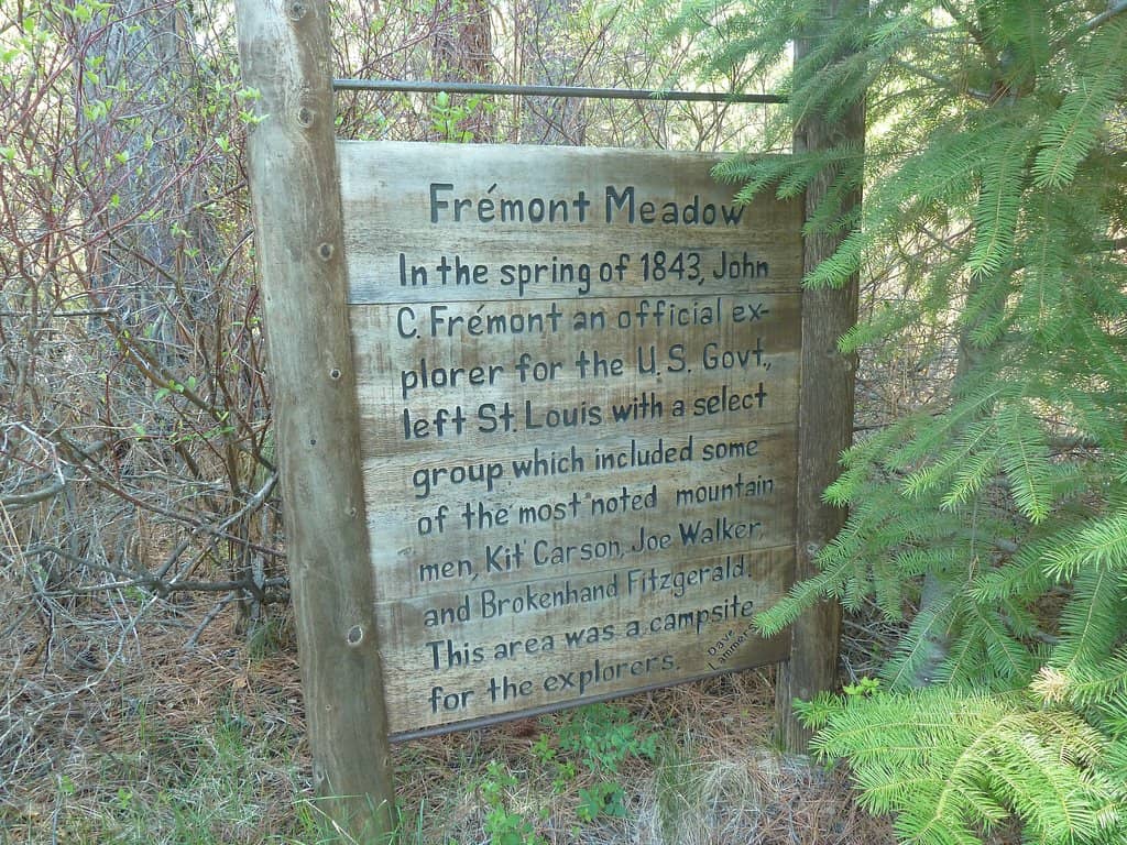Ponderosa Pine Forest