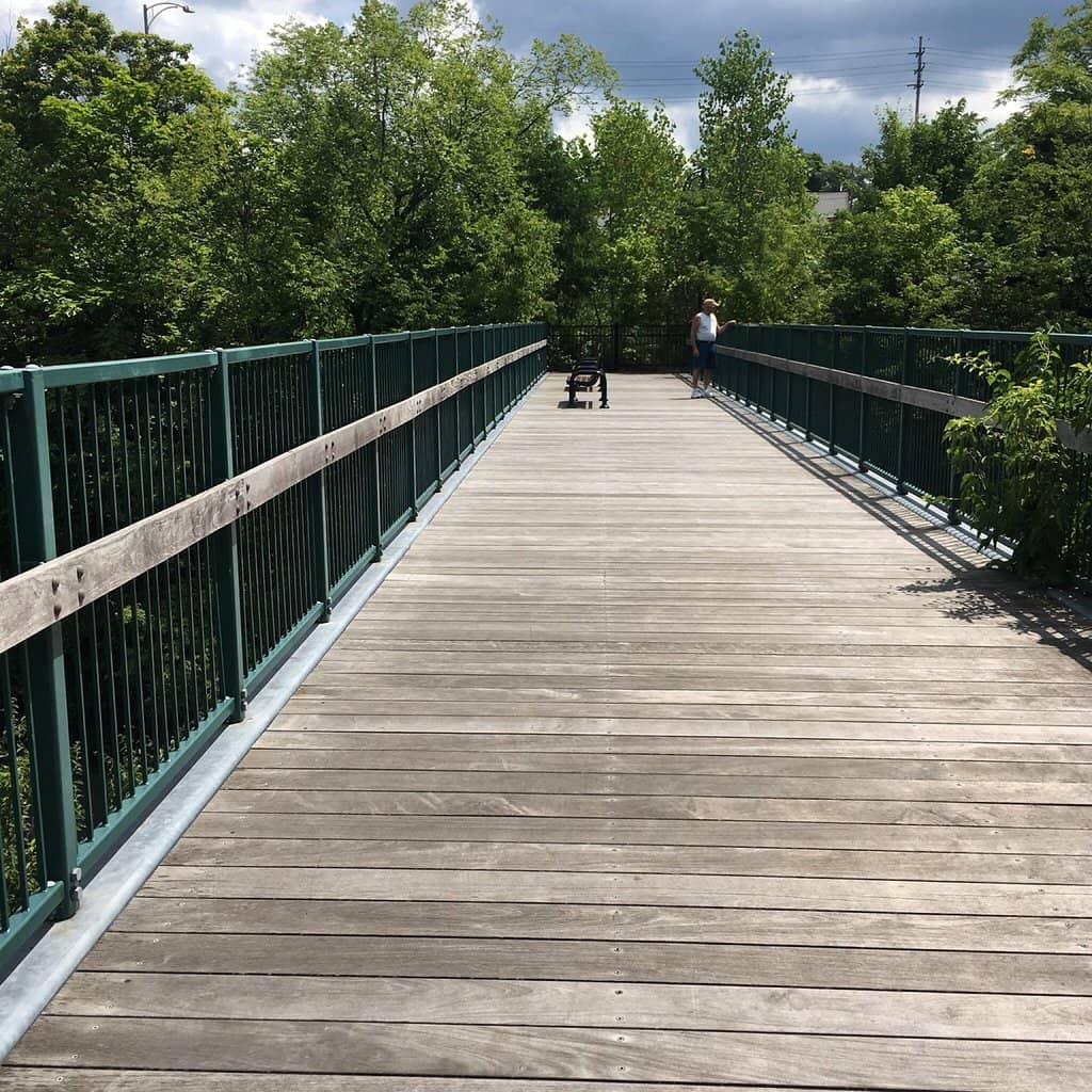 Tranquil Boardwalk Trails