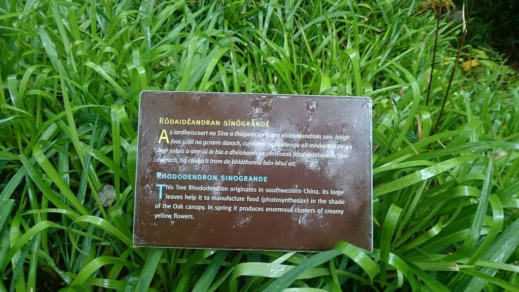 Derryveagh Mountains