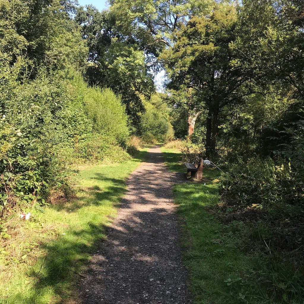 Hazel and Thoroughsale Woods