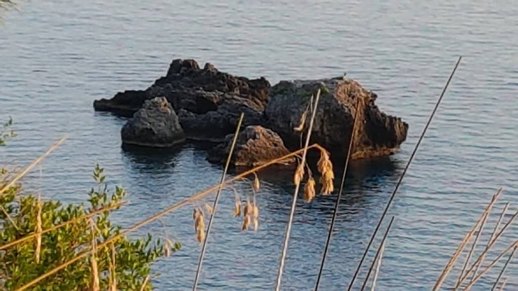 Vertical photo