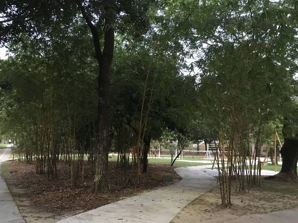 Kid-Friendly Playground