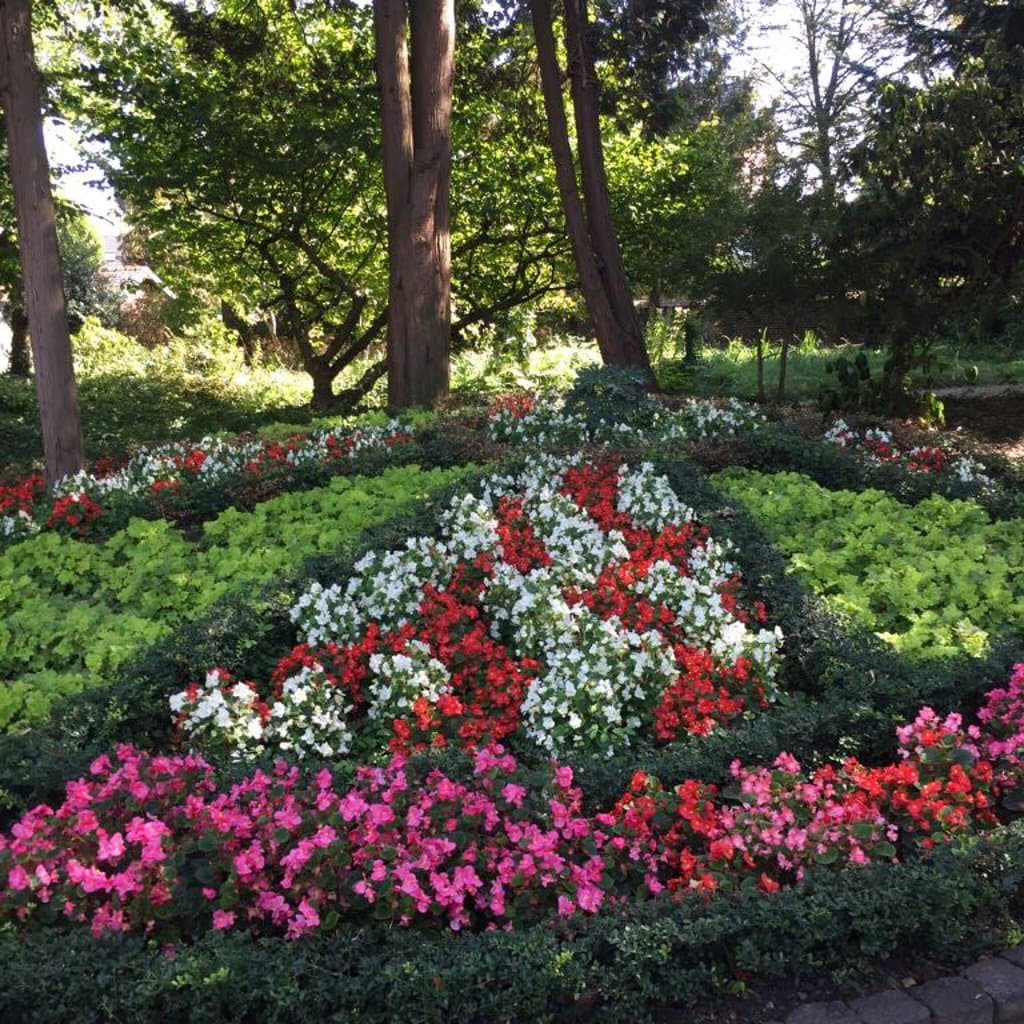 Botanische Tuin Jochumhof