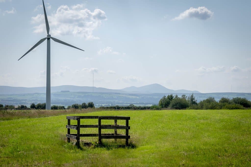Watchtree Nature Reserve