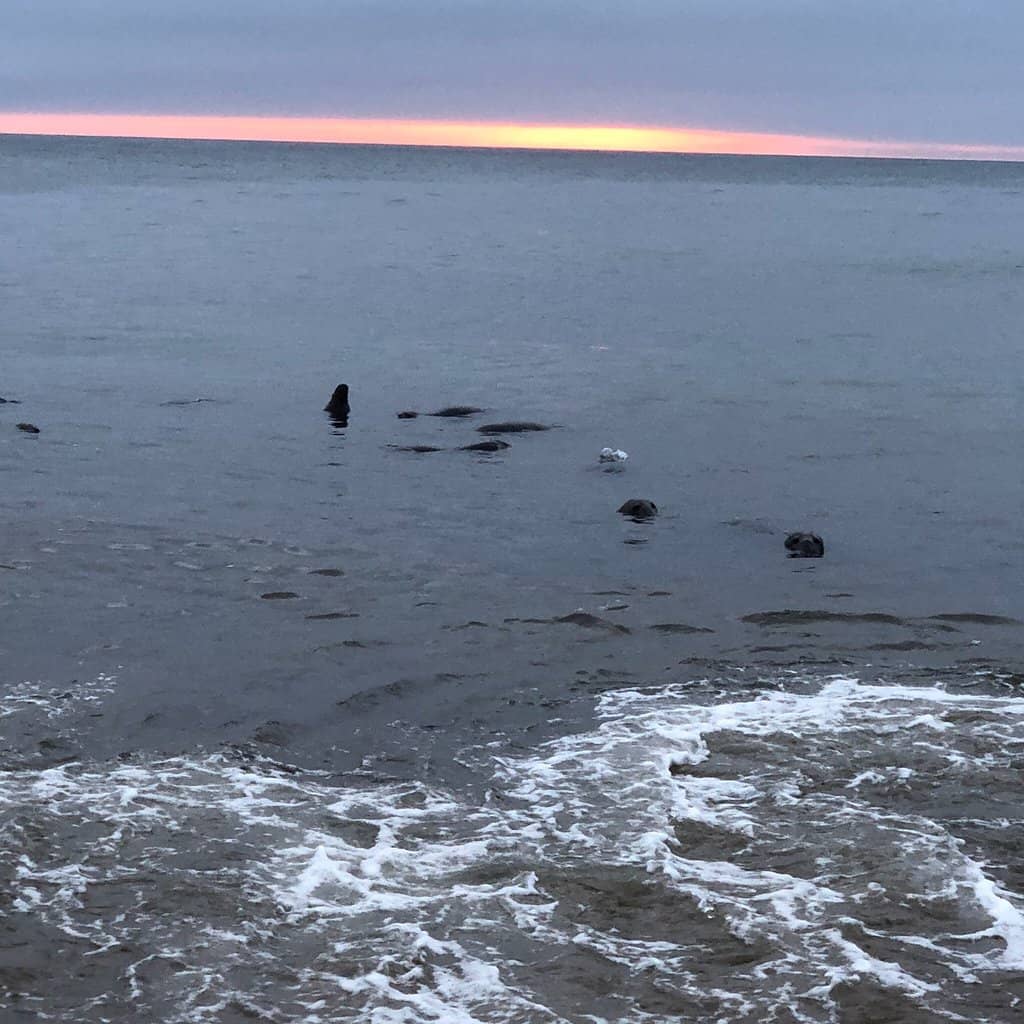 Highlights
