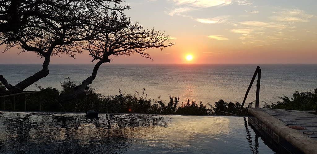 Snorkeling and Ocean Safaris