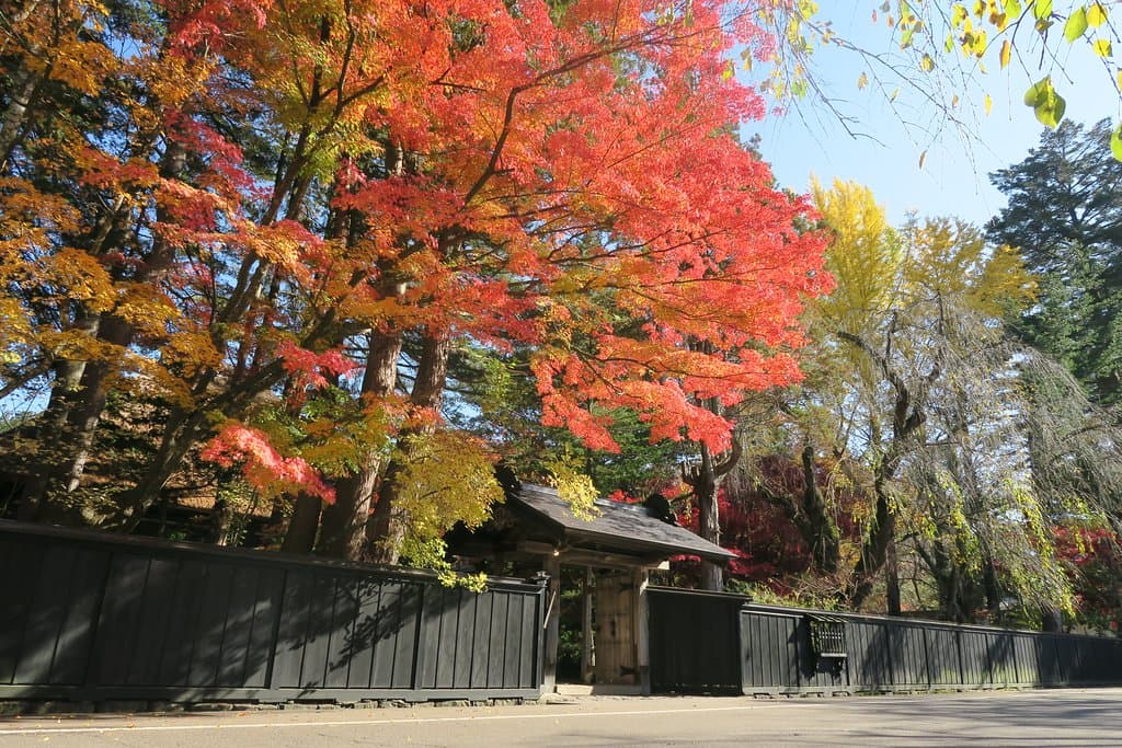 秋の紅葉は、一面燃えるように明るい景色をお楽しみいただくことが出来ると思います。