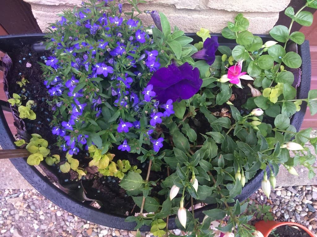 Themed Gardens & Water Features