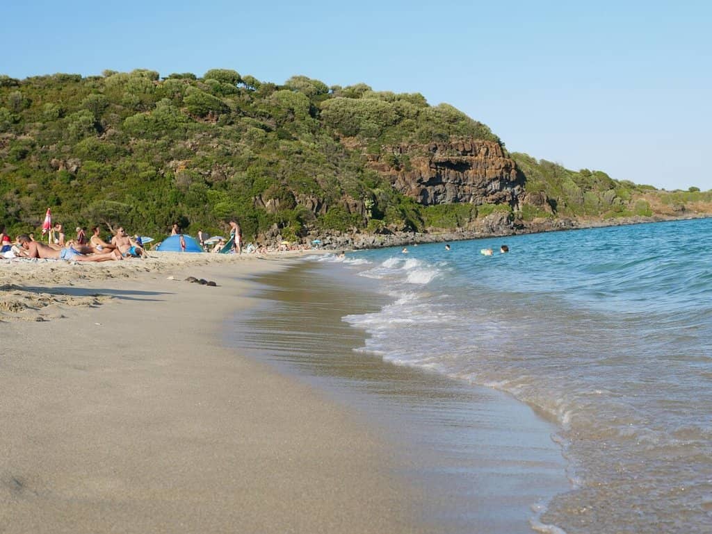 Pristine Sandy Shores