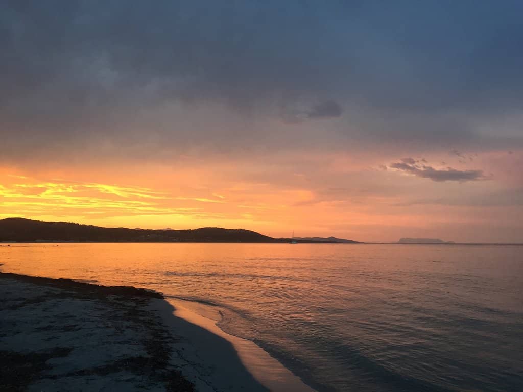 Beach Kiosk Delights