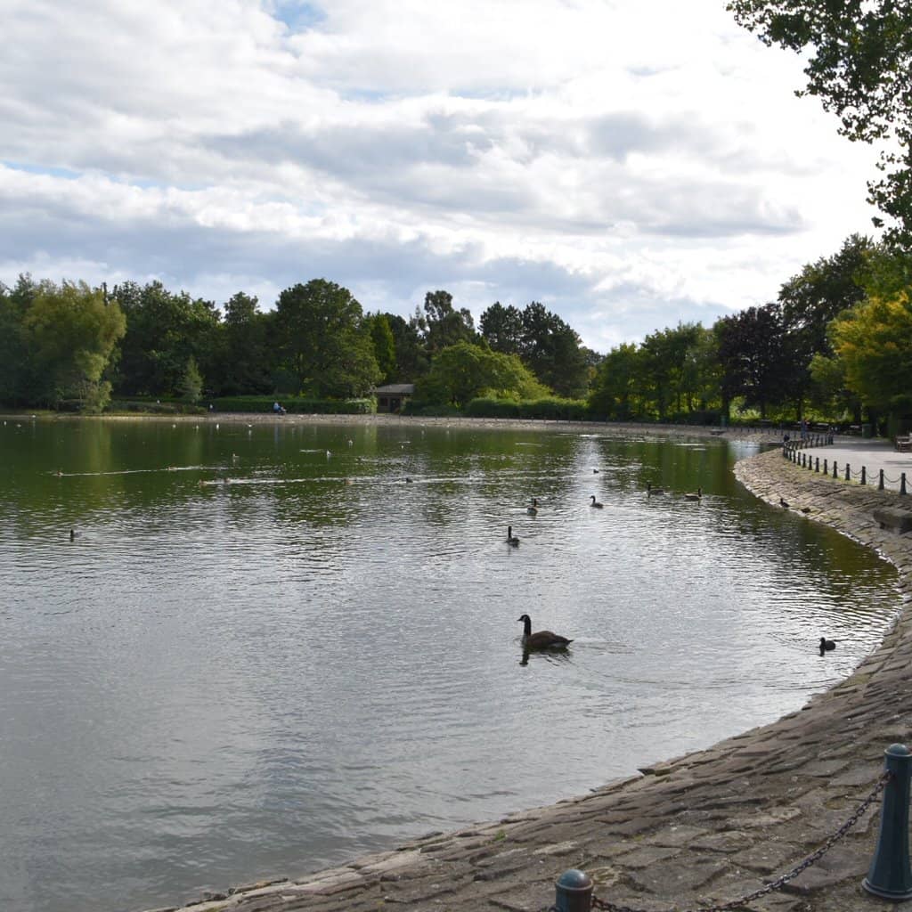 Boating Lake & Wildlife