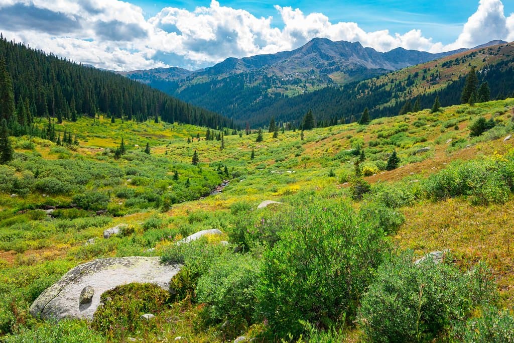 Views, views and more views