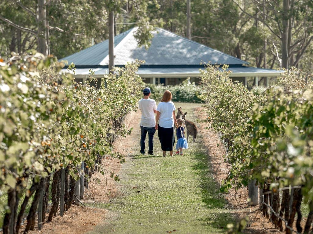 Organic Wine Tasting