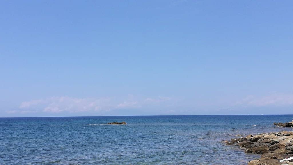 Vertical photo