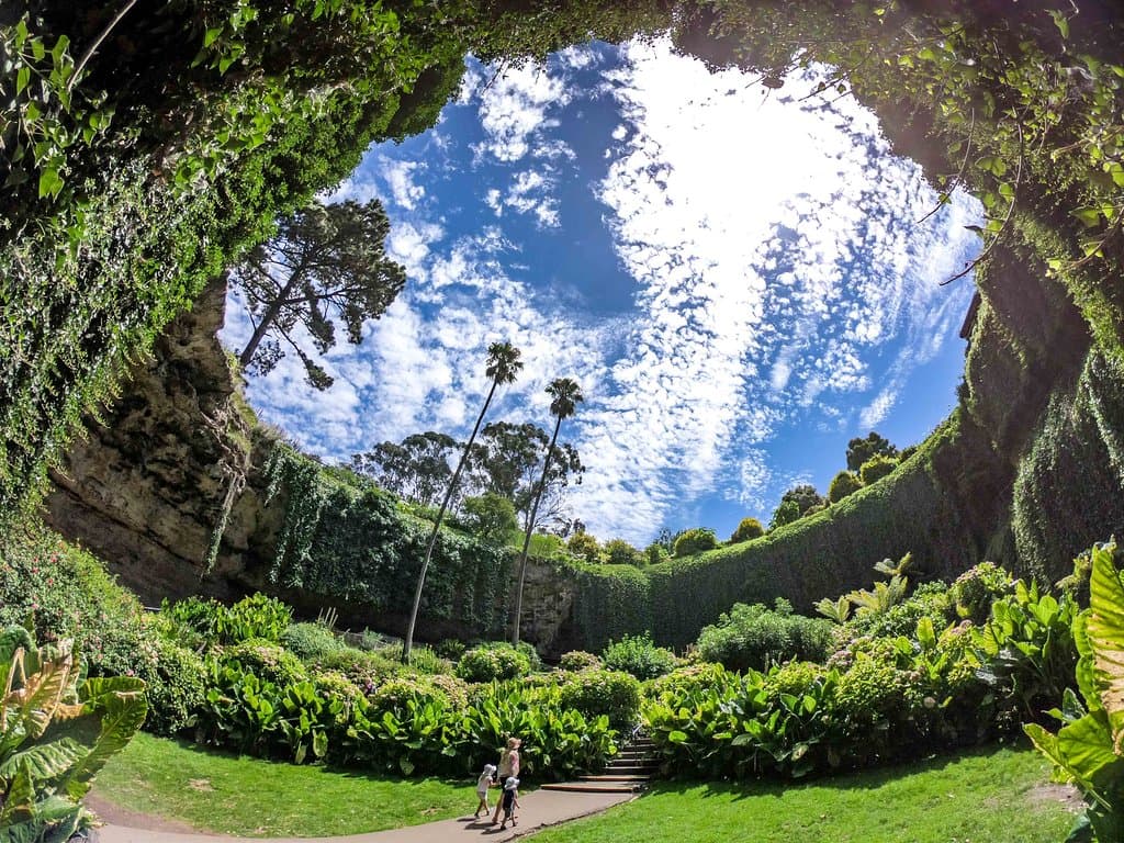 Umpherston Sinkhole - another one of Mother Nautres wonders. A must see in South Australia.