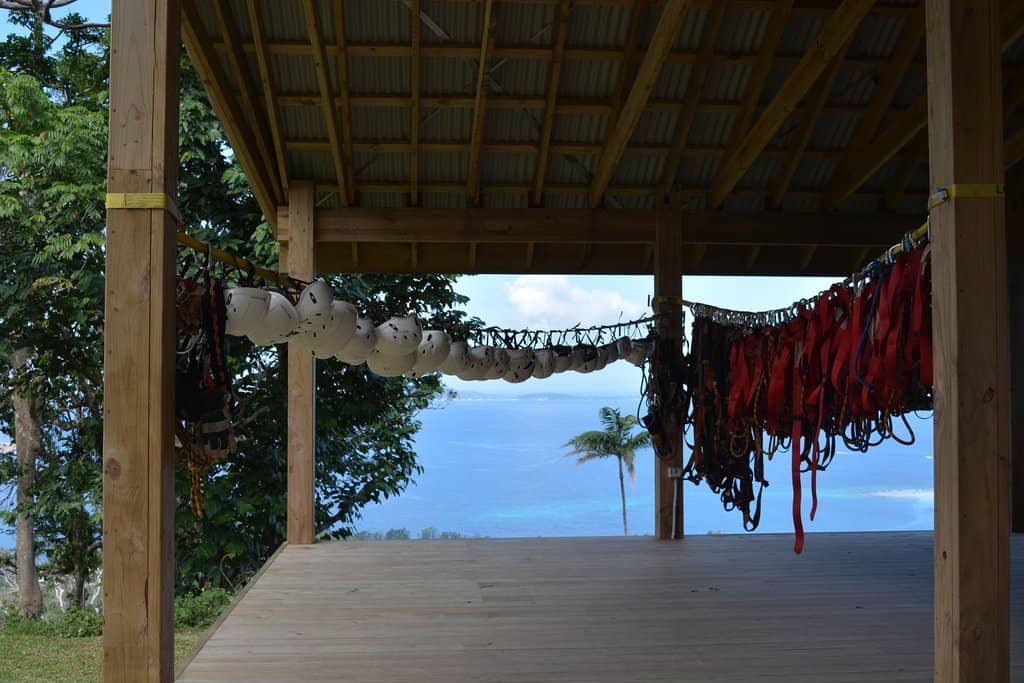 Jungle Zipline Adventure